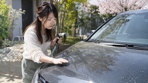 黄砂や花粉が付いた車体を確認